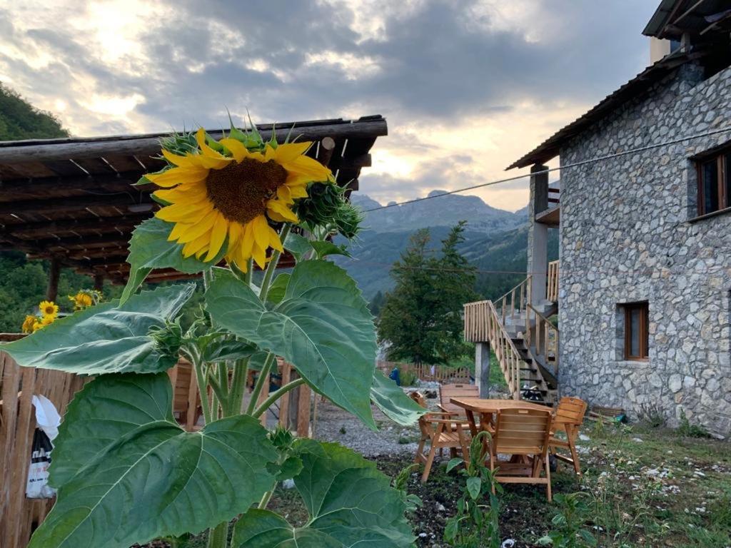 Rosi Maison d'hôtes